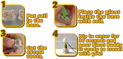 instructions