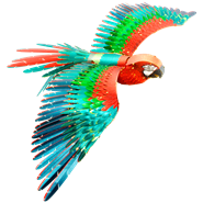 Picture of Premium Series Parrot 