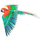 Picture of Premium Series Parrot 