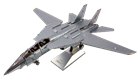 Picture of F-14 Tomcat™