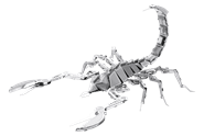 Picture of Scorpion 