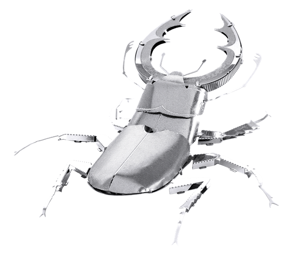 Picture of Stag Beetle 