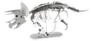 Picture of Triceratops Skeleton