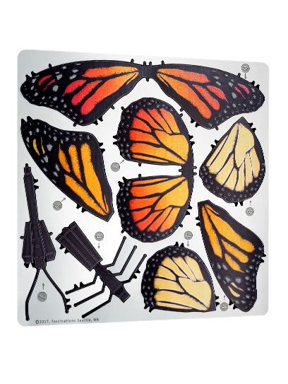 Monarch Butterfly 3D Metal Model kit/Fascinations Inc Metal Earth 