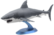 Picture of Great White Shark