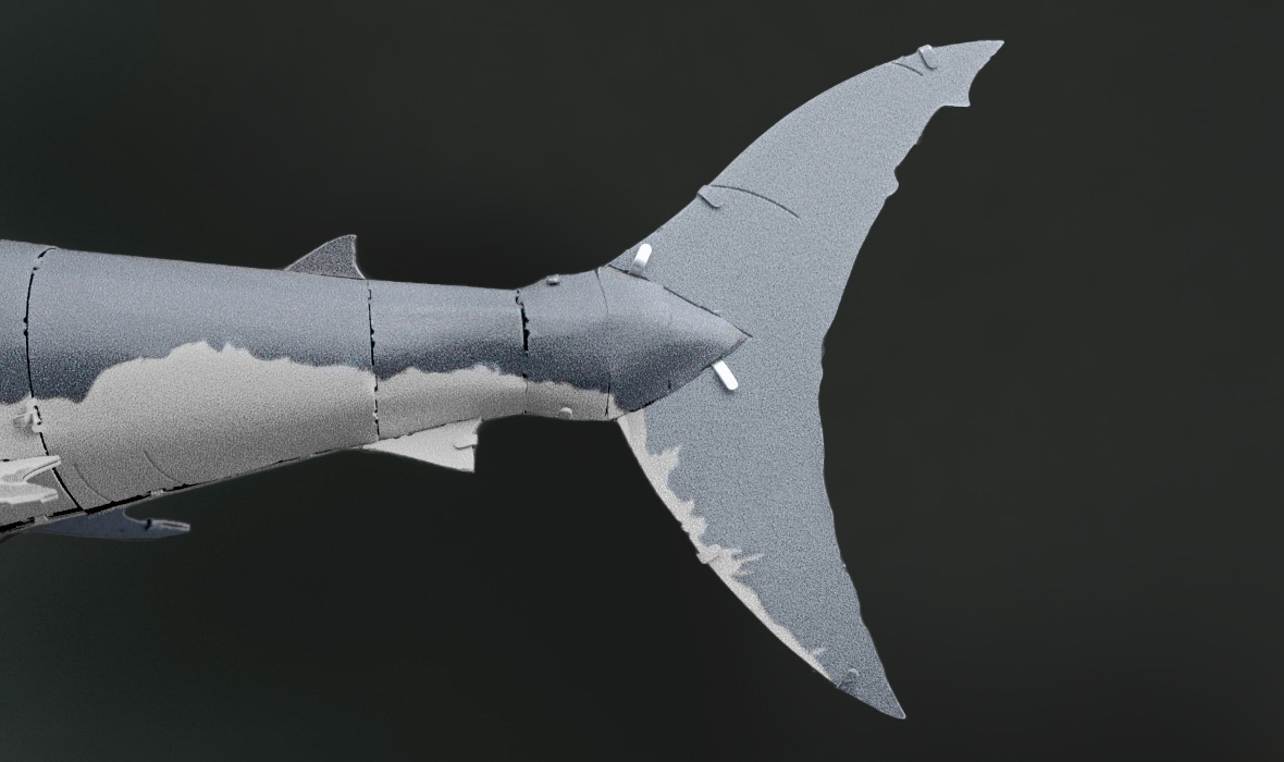 ME1008 - Great White Shark