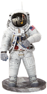 Picture of Apollo 11 Astronaut