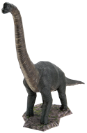 Picture of Brachiosaurus