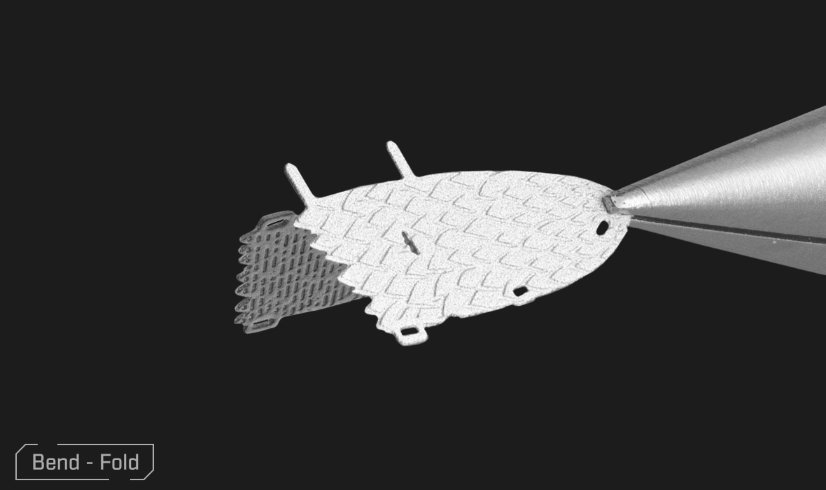 PS2017 - American Bald Eagle