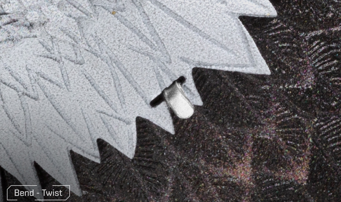 PS2017 - American Bald Eagle