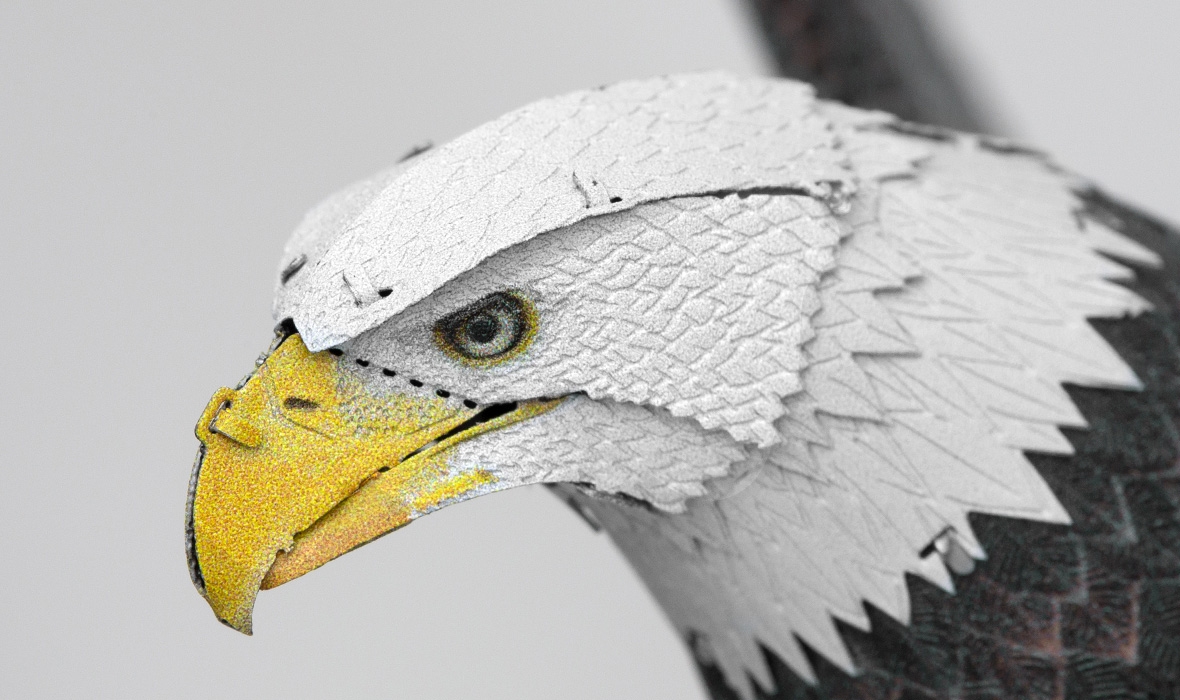 PS2017 - American Bald Eagle