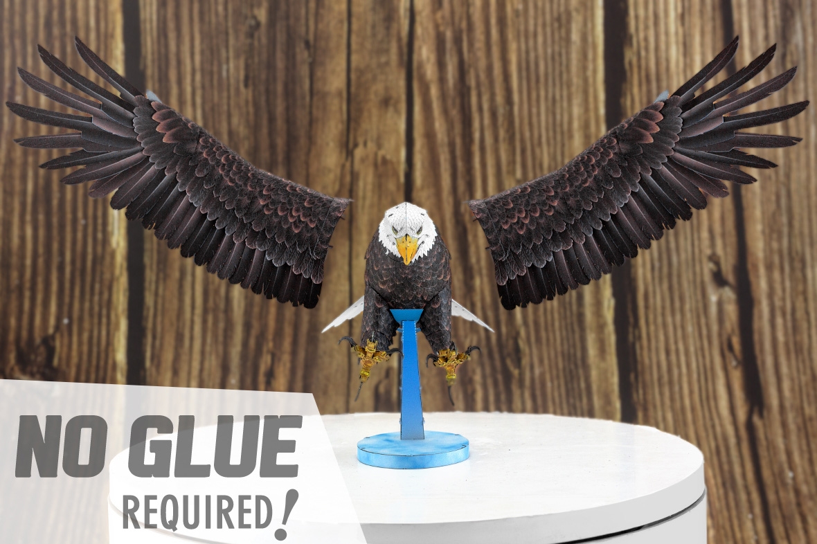 PS2017 - American Bald Eagle