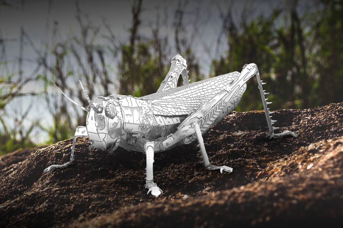 ME1033 - Grasshopper