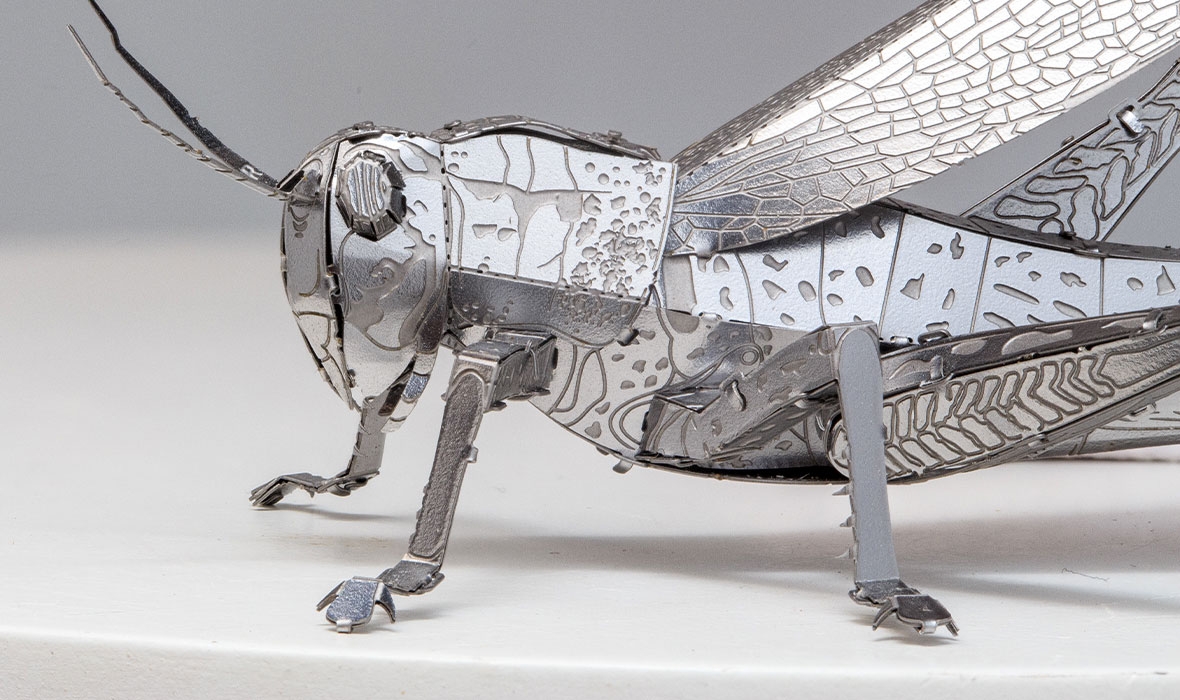 ME1033 - Grasshopper