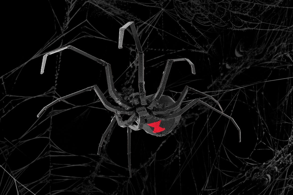 ME1038 - Black Widow Spider