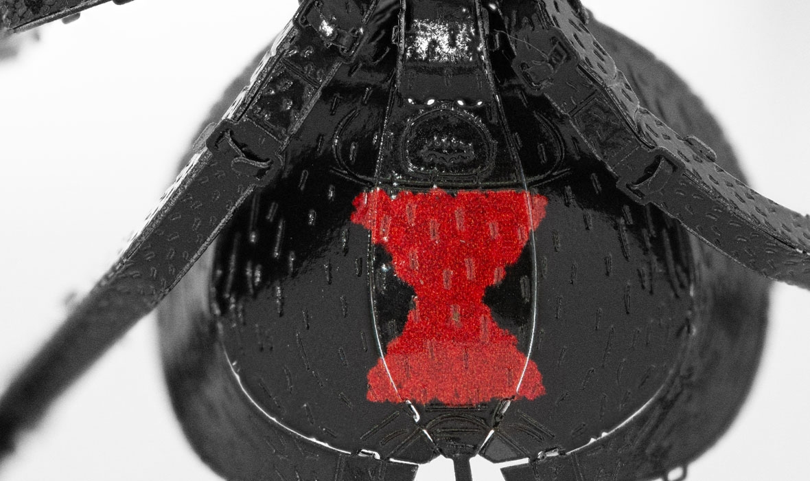 ME1038 - Black Widow Spider