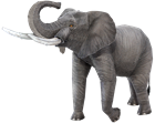 Picture of African Elephant