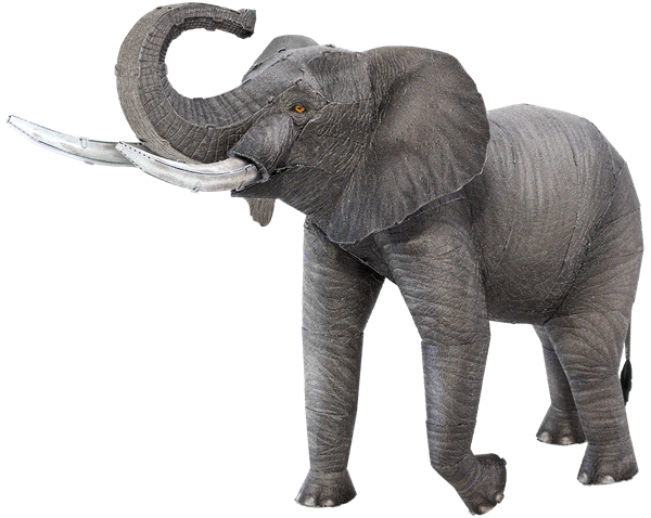 Picture of African Elephant