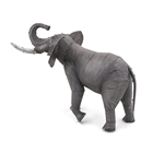 Picture of African Elephant