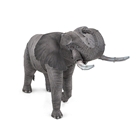 Picture of African Elephant