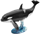 Picture of Orca