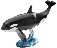 Picture of Orca