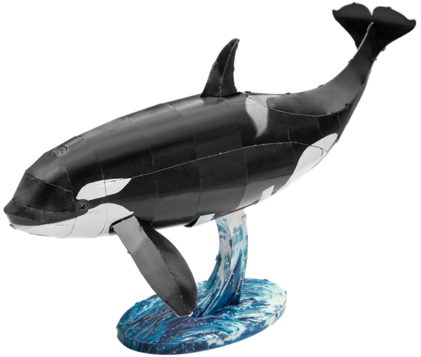 Picture of Orca