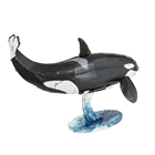 Picture of Orca