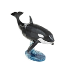 Picture of Orca