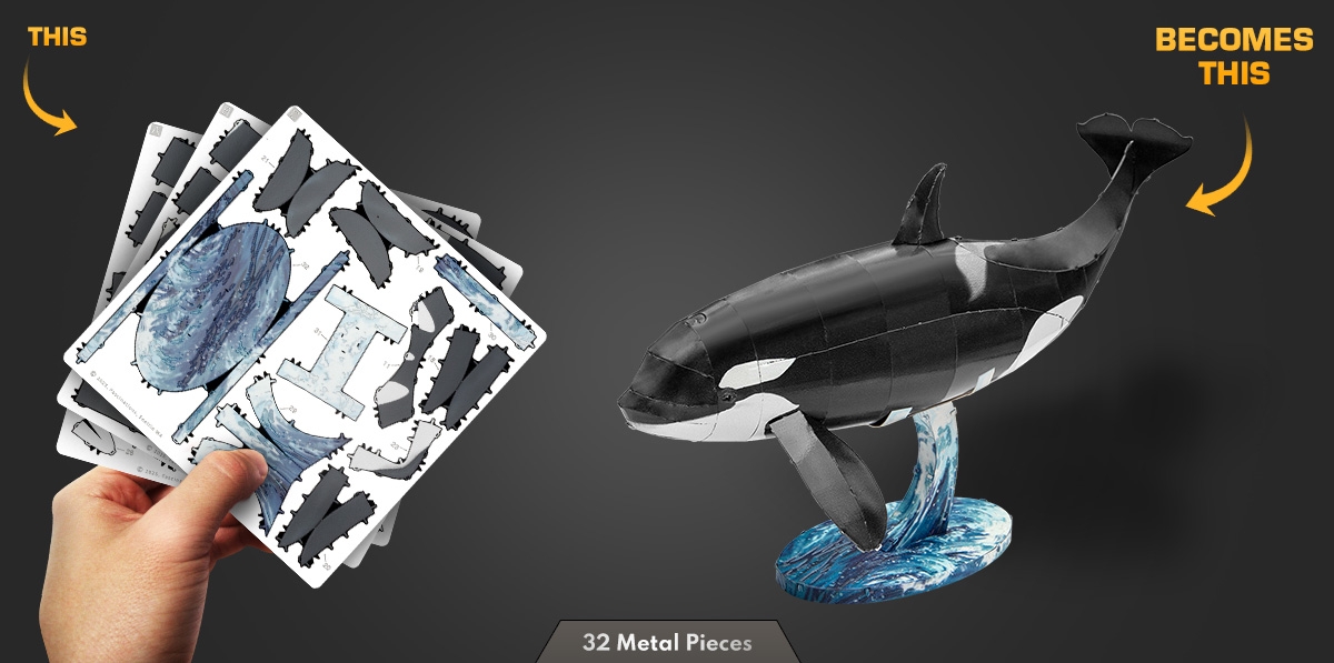 ME1045-this-becomes-this