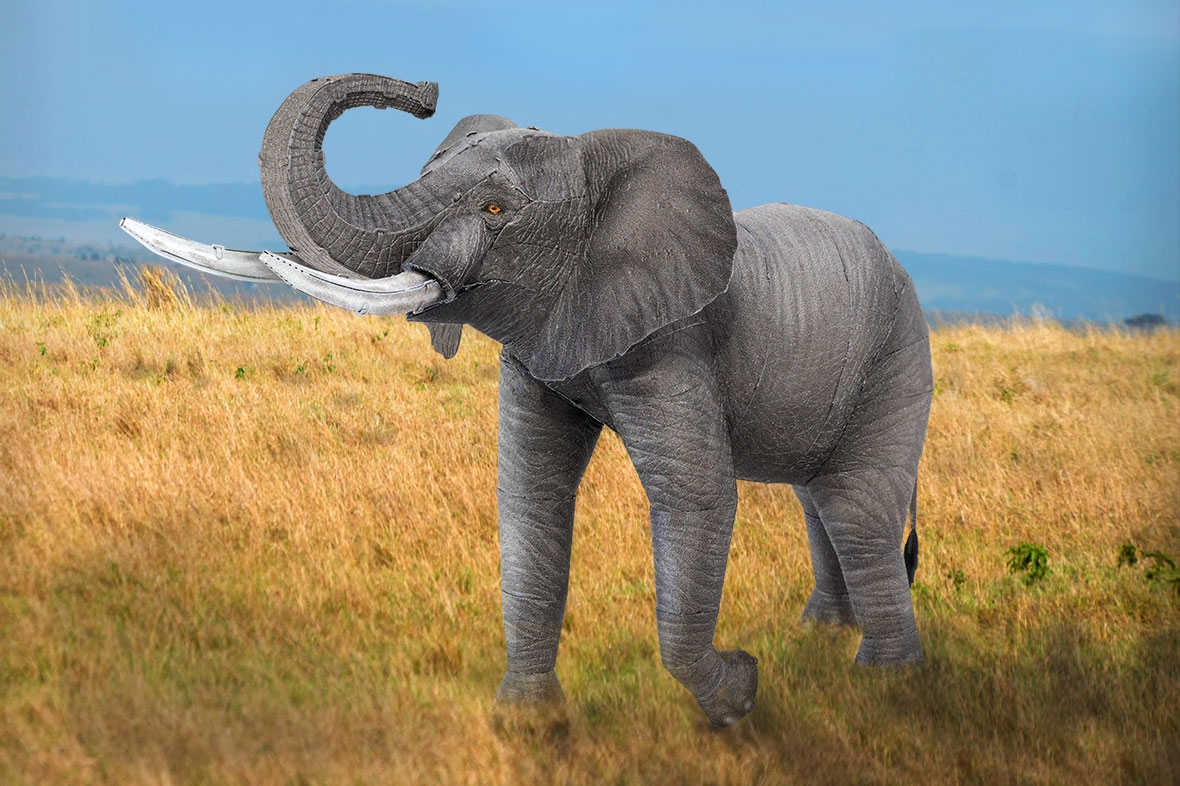 ME1043 - African Elephant