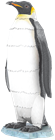 Picture of Emperor Penguin