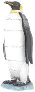 Picture of Emperor Penguin