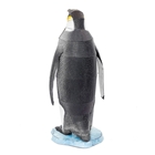 Picture of Emperor Penguin