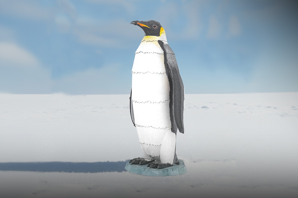 ME1041 - Emperor Penguin