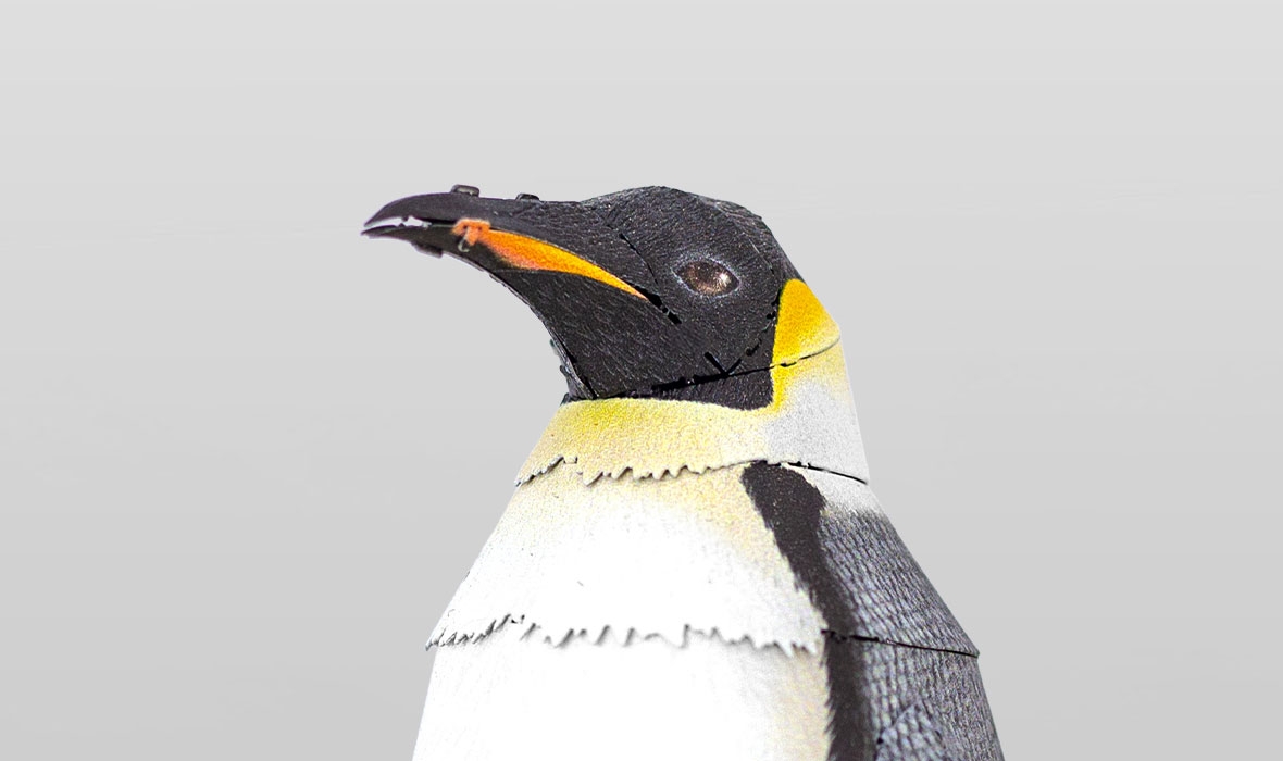 ME1041 - Emperor Penguin