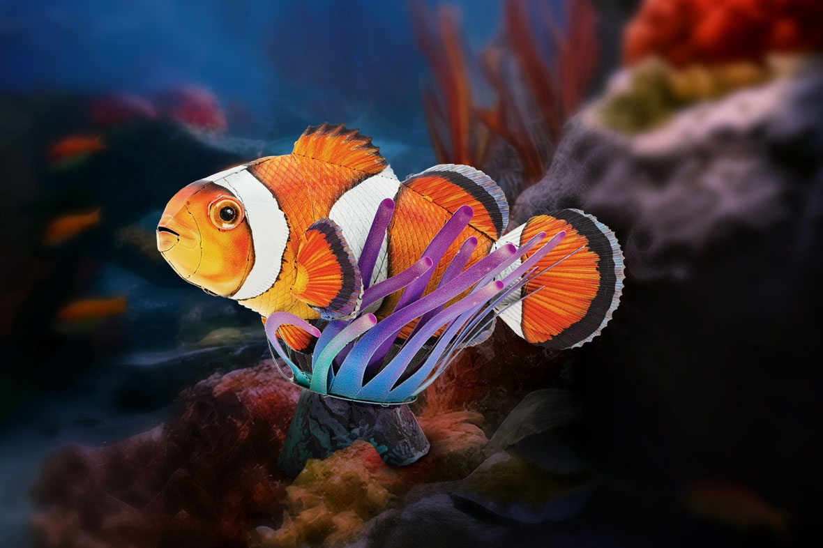 ME1044 - Clownfish