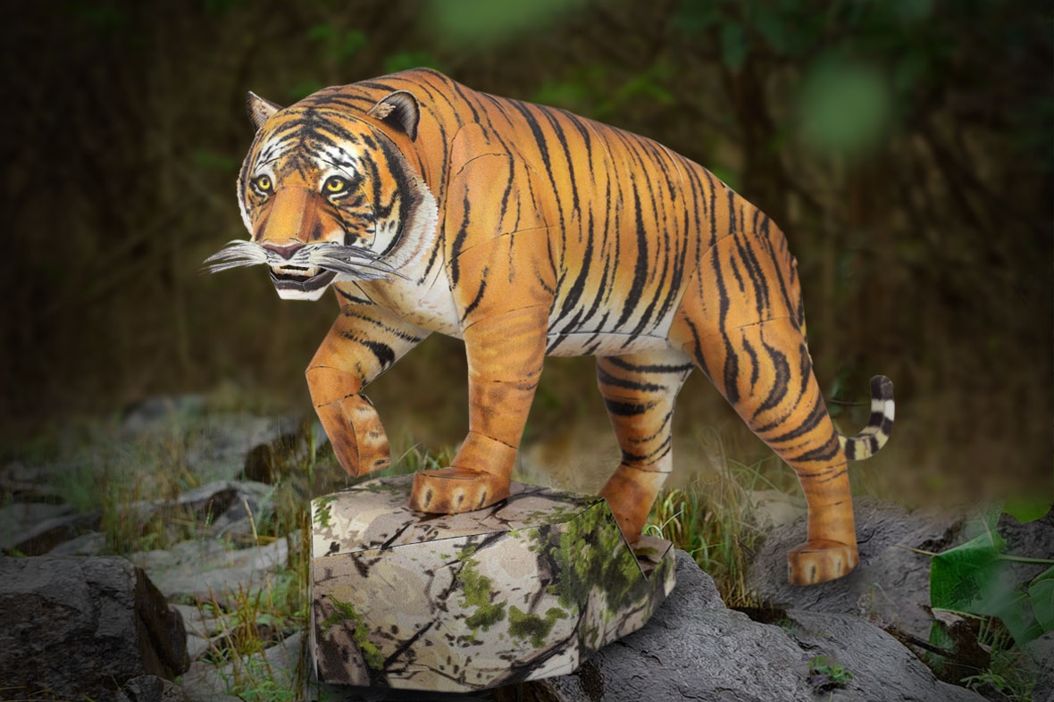 ME1029 - Bengal Tiger