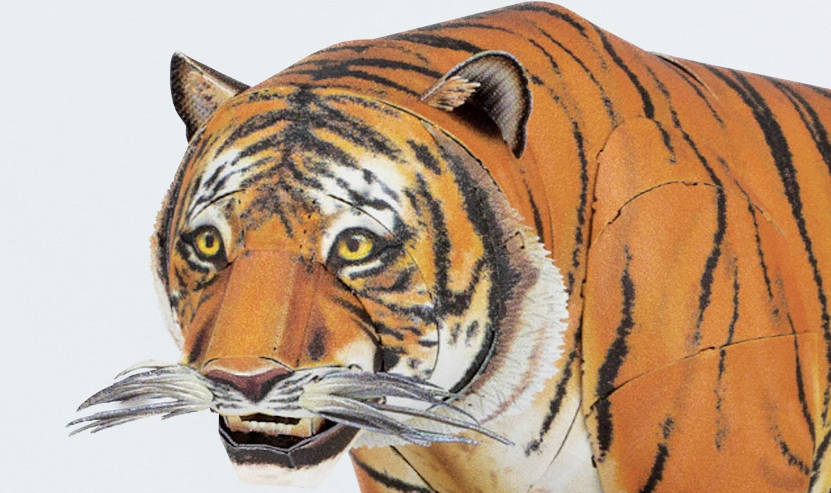 ME1029 - Bengal Tiger