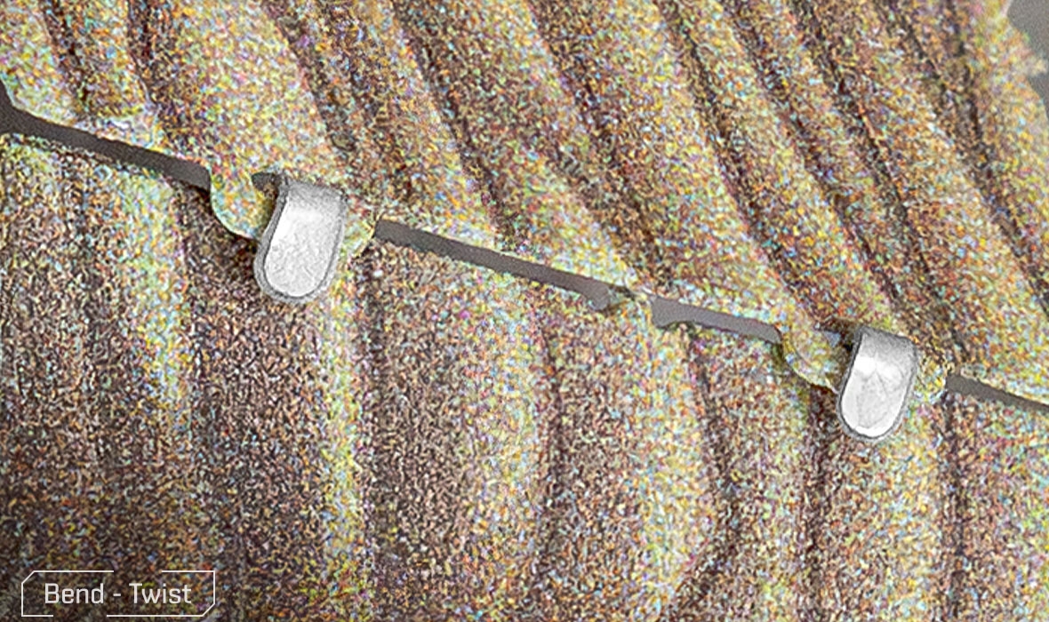 ME1018 - Stegosaurus