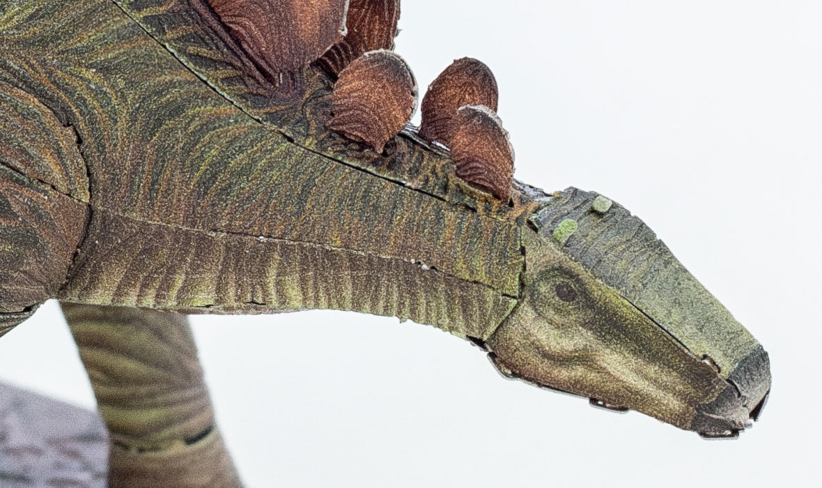 ME1018 - Stegosaurus