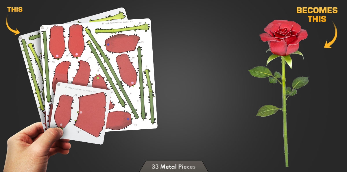 ME1057-this-becomes-this