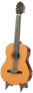 Picture of Classical Guitar