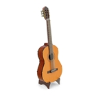 Picture of Classical Guitar