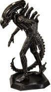 Picture of Xenomorph