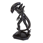 Picture of Xenomorph